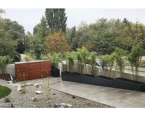 Buitenkant met gereedschapskist, plantenbakken en grindbed