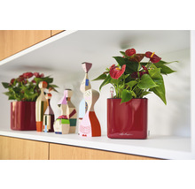 Decoratieve plank met kamerplanten in pot en houten figuren