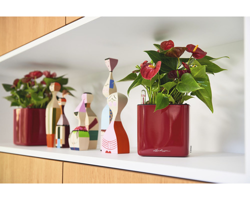 Decoratieve plank met kamerplanten in pot en houten figuren