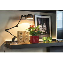 Decoratieve plank met zwenkarm lamp, anthuriumplant, bakstenen en decoratie