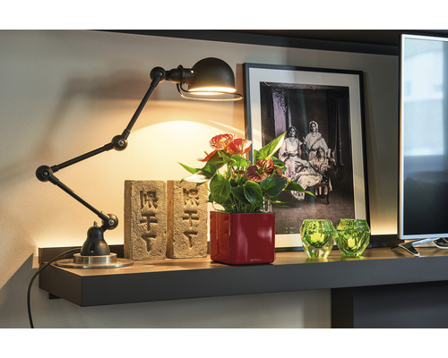 Decoratieve plank met zwenkarm lamp, anthuriumplant, bakstenen en decoratie