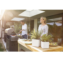 Buitenscène met een man aan de barbecue, een vrouw, tafel met planten en gerechten in een tuin