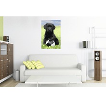 Woonkamer met bank en een muurschildering van een zwarte labradorpup met een voetbal