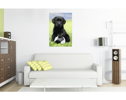 Woonkamer met bank en een muurschildering van een zwarte labradorpup met een voetbal