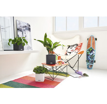 Lichte, vriendelijke kamer met planten in Lechuza plantenbakken, een stoel, skateboard en vloerkleed