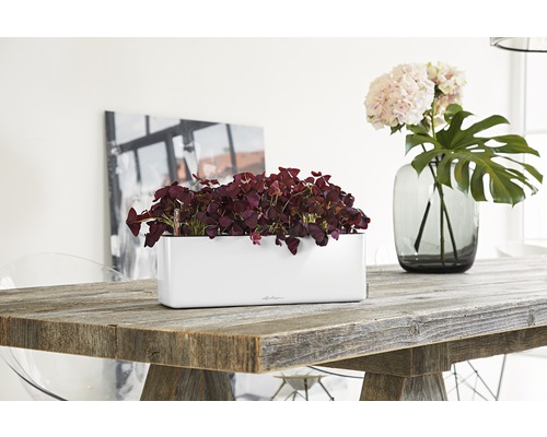 Decoratieve tafelsetting met een witte plantenbak en een vaas met bloemen op een houten tafel