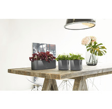 Twee grijze plantenbakken en een langwerpige plantenbak op een houten tafel met planten