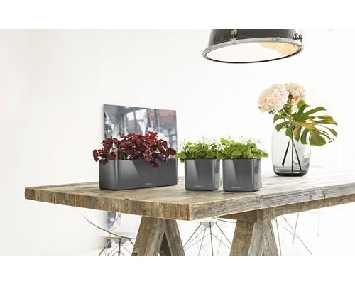 Twee grijze plantenbakken en een langwerpige plantenbak op een houten tafel met planten