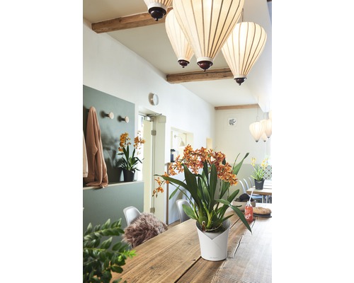 Licht interieur met eettafel, hanglampen en potplanten