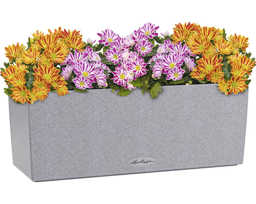 Grijze plantenbak met gele en paarse chrysanten