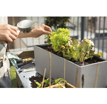 Persoon vult verhoogde tuinbak met slaplanten en thermometer