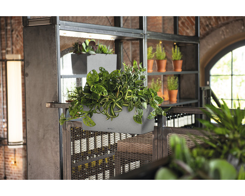 Scène met beplante grijze plantenbakken op een metalen rek.
