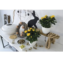 Feestelijke paasdecoratie met rozen, paaseieren en paashazen op een tafel.