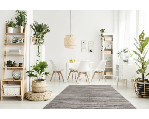 Lichte woonkamer met eettafel, stoelen, rekken en kamerplanten