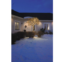Gevel met verlichte boom in de winter