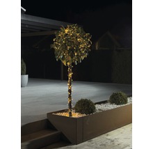 Boom met lichtjes in een plantenbak buitenshuis