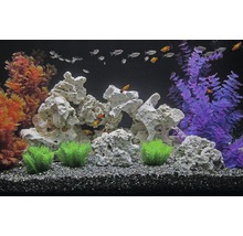 Decoratief aquarium met stenen, planten en vissen
