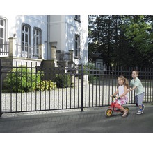 GAH.ALBERTS Gaaspaneel Guardian zwart 200x100 cm-thumb-1 GAH.ALBERTS Gaaspaneel Guardian zwart 200x100 cm-thumb-1