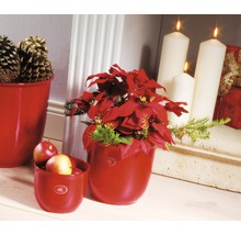 Kerstdecoratie met rode bloempotten, kerstster, appels en kaarsen