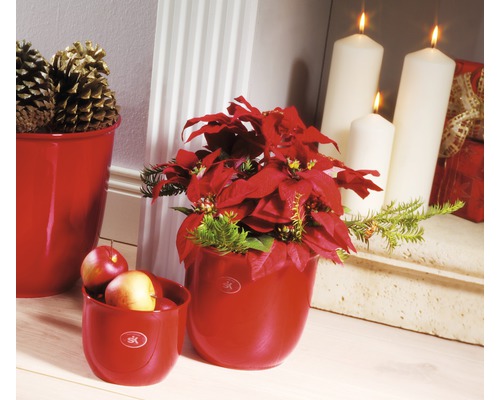 Kerstdecoratie met rode bloempotten, kerstster, appels en kaarsen