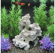 Decoratief aquarium met vissen, planten en rotsen