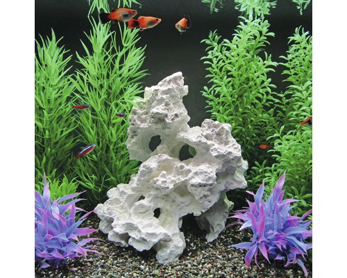 Decoratief aquarium met vissen, planten en rotsen