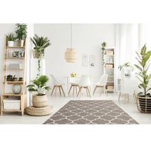 Lichte eetkamer met houten tafel, stoelen, tapijt en planten