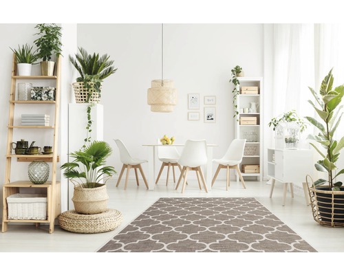 Lichte eetkamer met houten tafel, stoelen, tapijt en planten