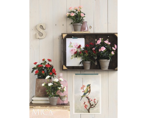 Decoratieve scène met rozen in potten, een plank en wanddecoraties