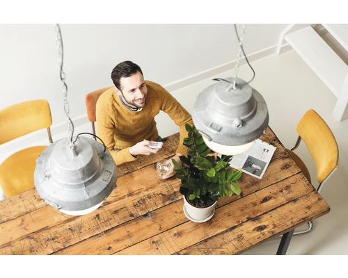 Houten eettafel met industriële hanglampen, stoelen en een kamerplant in pot