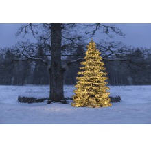 Versierde kerstboom in een besneeuwde tuin