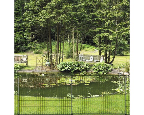 Vijver in de tuin met metalen hek, omgeven door bomen en planten