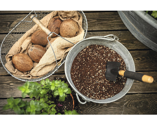 Tuinarrangement met kokosnoten, potgrond en een kleine schep.