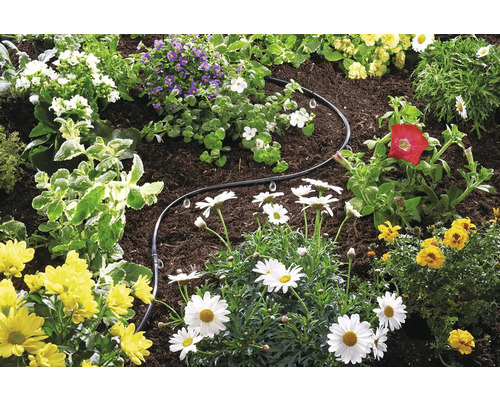Tuin met bloemen en irrigatieslang