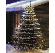 Versierde kerstboom met lichtjes in de sneeuw voor een huis