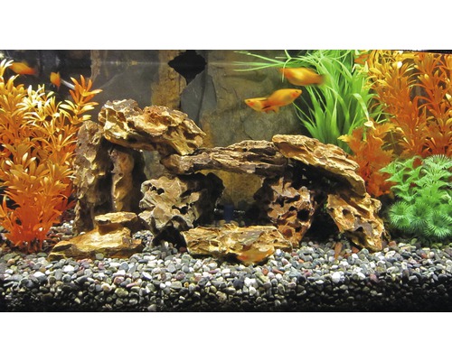Gedecoreerd aquarium met vissen, planten en stenen boog