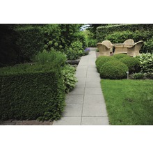 Tuinpad met straatstenen, omgeven door groene planten en struiken, met een zithoek op de achtergrond.