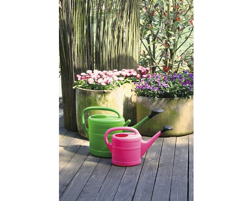 Scene met twee gieters en beplante potten buitenshuis