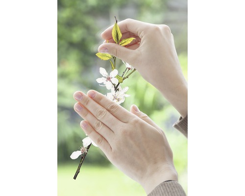 Close-up van handen die een bloeiende tak vasthouden