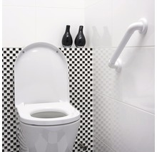 SECUCARE Wandgreep basic 45 cm wit