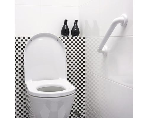 Badkamer met toilet, handgreep en decoratievazen