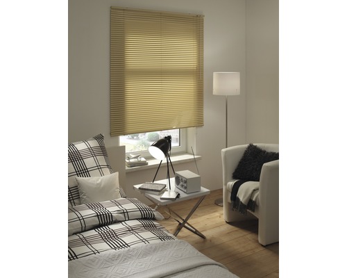 Woonkamer met raamjaloezie, bed en fauteuil