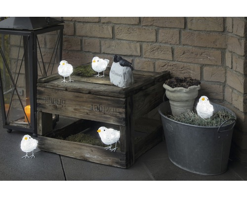 KONSTSMIDE Verlichting LED Lichtfiguur vogels 5 st. 40 lampjes koud wit 4 meter Decoratie met hout, lantaarn, zinken teil en decoratieve vogels