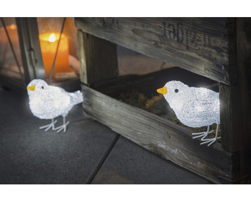 Decoratieve verlichte vogels in en voor een houten kist