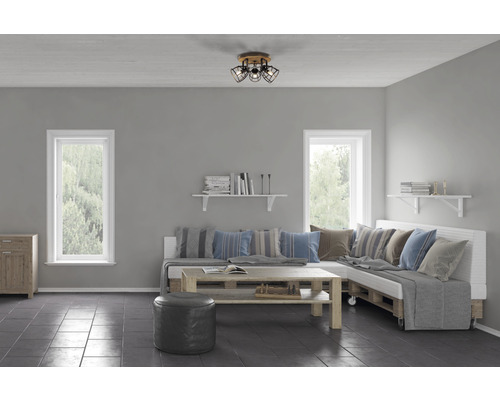 Woonkamer met plafondlamp, hoekbank en salontafel