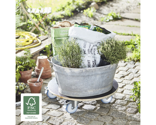 Rolplank met planten en tuingereedschap buiten