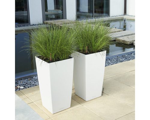 Twee witte plantenbakken met beplanting buitenshuis