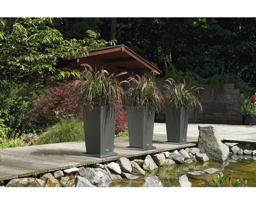 Drie plantenbakken met siergrassen in de tuin