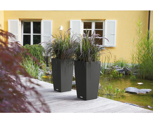 Twee plantenbakken met planten naast een vijver