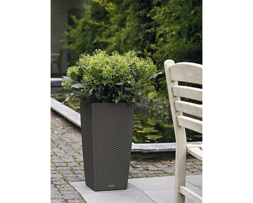 Bloempot met plant in de tuin